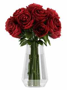 花瓶深勃艮第红色的玫瑰