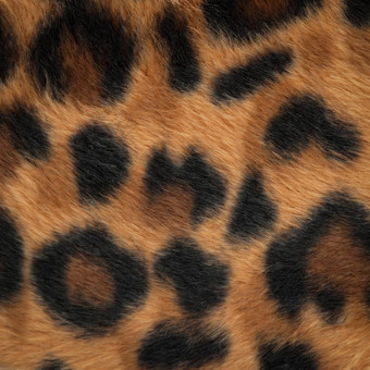 豹捷豹皮肤模式背景