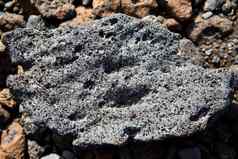 熔岩石头火山纹理细节棕榈