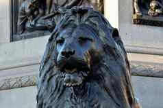 特拉法尔加广场狮子Nelsons列