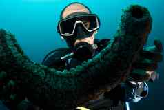 潜水潜水员持有海黄瓜
