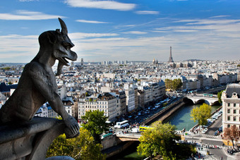 巴黎全景法国埃菲尔铁塔塔他的河