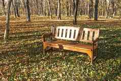木板凳上公园