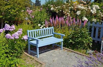 蓝色的花园板凳上