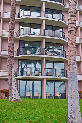 棕榈树前面热带酒店大岛夏威夷
