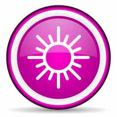 太阳紫罗兰色的光滑的图标白色背景