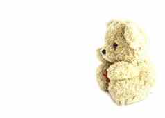 泰迪熊玩具心白色背景