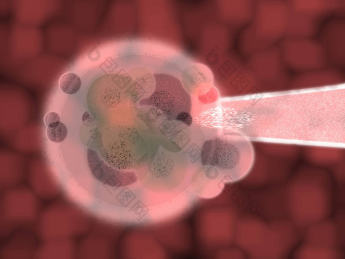 红色的血有机身体细胞试管婴儿太太注射针