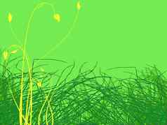 绿色草黄色的花插图