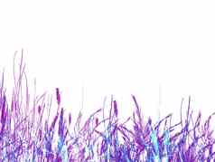 淡紫色紫色的草里德插图