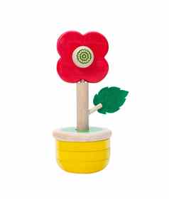 色彩斑斓的木花玩具花瓶隔离