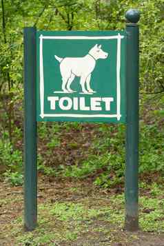 招牌厕所。。。狗