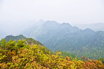 查看钉脊<strong>中国夏天</strong>