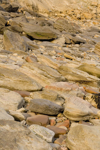 岩石使铭记于心化石惠特比