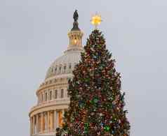 圣诞节树前面国会大厦华盛顿
