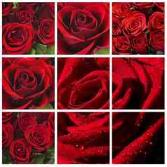 红色的玫瑰拼贴画