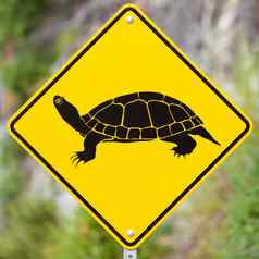 注意海龟穿越动物路标志