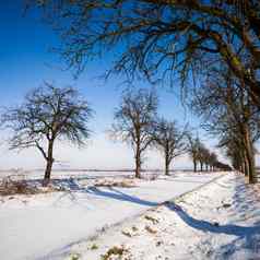 可爱的冬天陆地景观小巷覆盖新鲜的雪