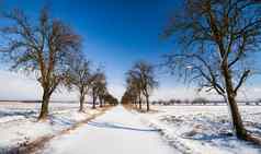 可爱的冬天陆地景观小巷覆盖新鲜的雪