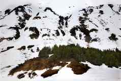 雪山棕色（的）苏厄德高速公路锚地阿拉斯加