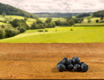 桩蓝莓木表格场