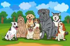纯种狗集团卡通插图