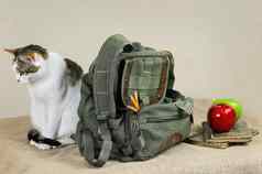 猫背包