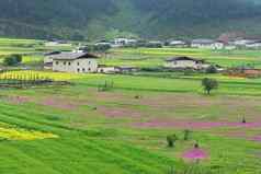 景观香格里拉藏文村