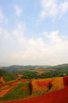 中国农村景观