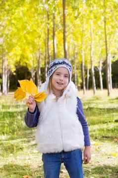 孩子女孩秋天杨树森林黄色的秋天叶子手