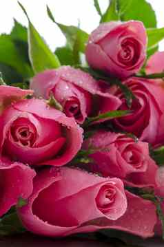 粉红色的玫瑰花束