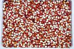 色彩斑斓的豆背景