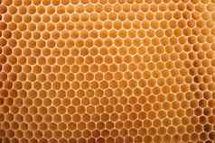 蜂蜜纹理