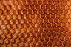 蜂蜜背景