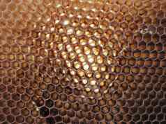 蜂蜡纹理蜂蜜