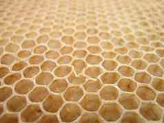 蜂蜡纹理蜂蜜