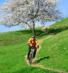 骑自行车的人骑自行车绿色山美丽的树