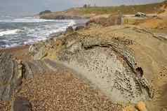 卵石海滩豆空心状态海滩加州