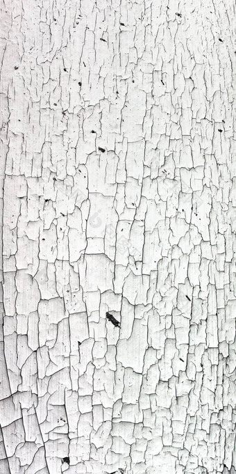 易破的白色油漆纹理木