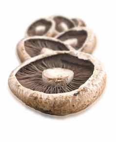 健康的新鲜的蘑菇白色背景