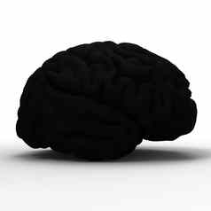 人类大脑模型孤立的
