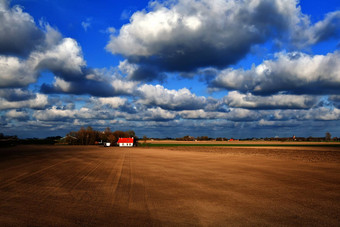 美丽的天空荷兰农田