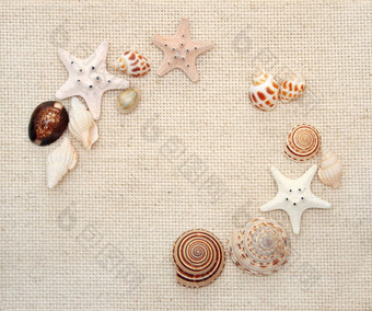 海星类海螺帆布纹理