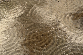 圈多频声棕色（的）沙子表面