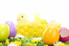复活节鸡蛋复活节篮子美丽的开花草地
