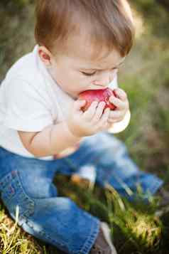 婴儿男孩吃苹果