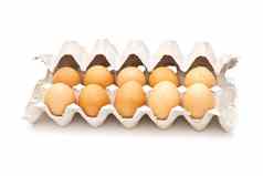 棕色（的）鸡蛋纸箱包白色背景