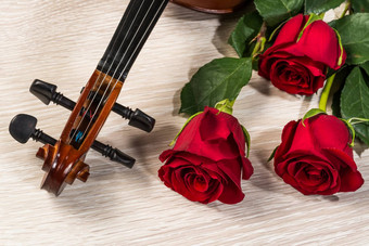 小提琴玫瑰音乐书