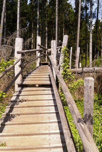 徒步旅行小道埃菲尔斯泰格