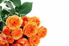 花束橙色玫瑰